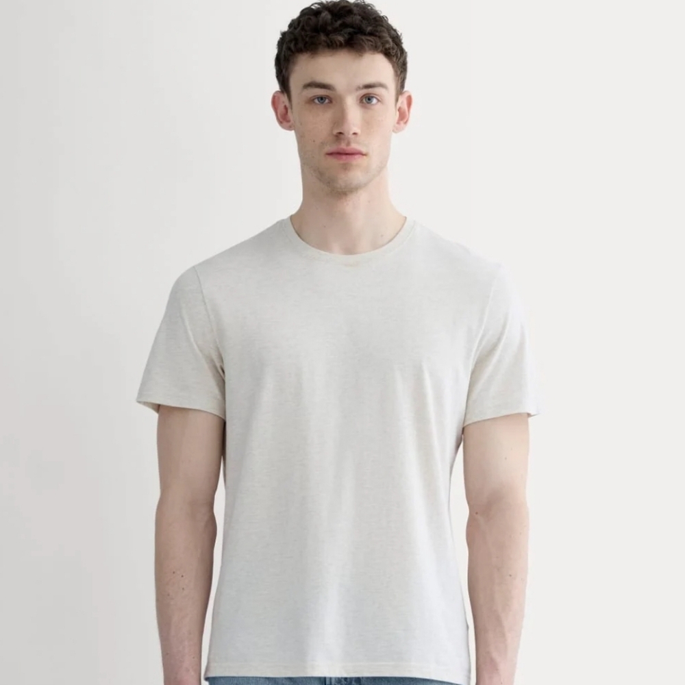 Everlane Short Sleeve Tees — Charcoal & Beige - Picture 4 of 4